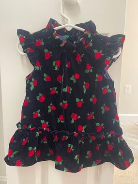 Janie and Jack Navy Velvet Top with Red & Green Strawberry Print
